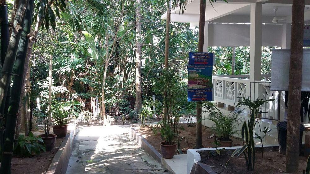 Perhentian Tropicana Inn Pulau Perhentian Kecil Екстер'єр фото